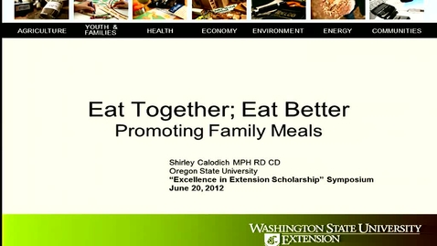 Thumbnail for Excellence in Extension Scholarship Symposium 2.mp4
