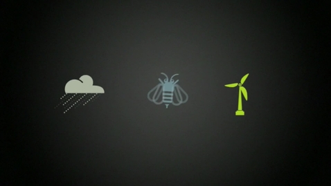 Thumbnail for BEE in the Lab - Soil Research