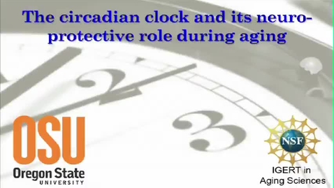 Thumbnail for entry The Circadian Clock and its Neuroprotective Role During Agin