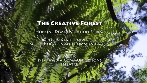 Thumbnail for The Creative Forest
