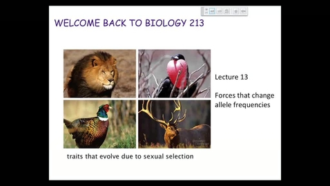 Thumbnail for BI 213 - Lecture 14