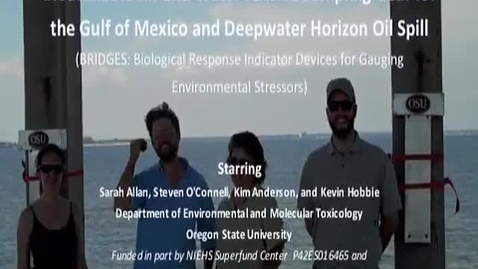 Thumbnail for Anderson Research in the Gulf of Mexico