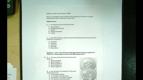 Thumbnail for BI 213 - Lecture 10