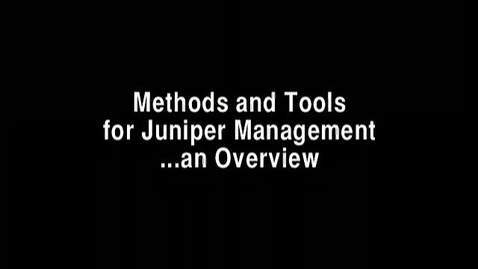 Thumbnail for The Quiet Invasion: Tools for Managers