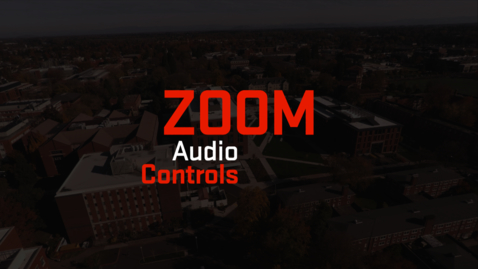 Thumbnail for entry Zoom | Audio Controls