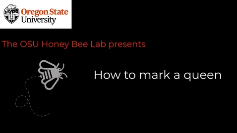 Thumbnail for How to mark a queen