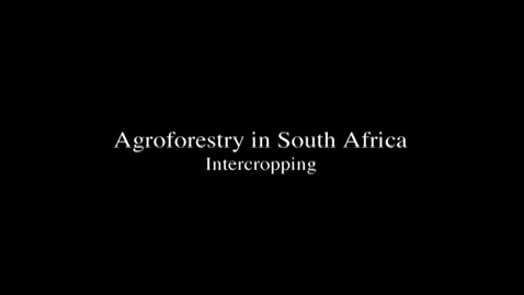 Thumbnail for Agroforestry in South Africa-- An Example