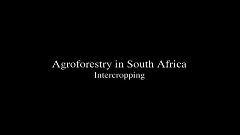 Thumbnail for entry Agroforestry in South Africa-- An Example