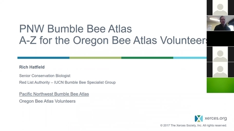 Thumbnail for entry How Oregon Bee Atlas Volunteers can Contribute to the PNW Bumble Bee Atlas