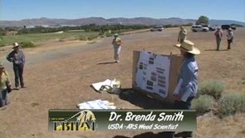 Thumbnail for 8 Brenda-species availability.wmv