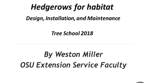 Thumbnail for 14D-Miller-Hedge_rows_2018