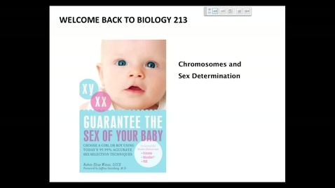 Thumbnail for BI 213 - Lecture 06