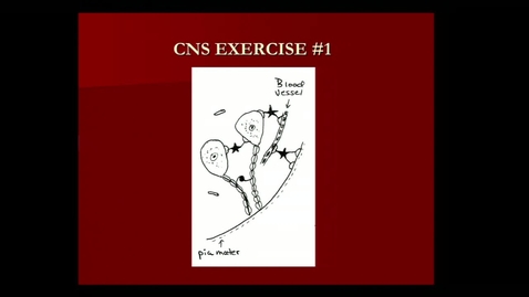 Thumbnail for entry Valentine CNS Lecture Jan 16