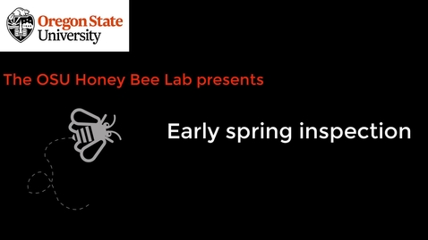 Thumbnail for entry Early Spring Inspection 2020