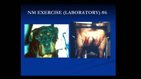 Thumbnail for Dr. Valentine NM lecture Jan 12