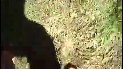 Thumbnail for ann3 kbvr