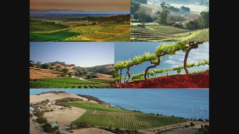 Thumbnail for 20160708 Berry Sensory Assessment: A Valuable Tool in Grape and Wine Production