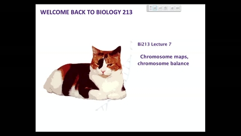 Thumbnail for entry BI 213 - Lecture 07