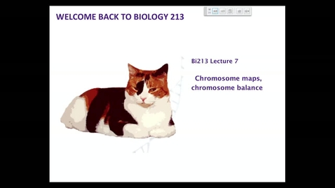 Thumbnail for BI 213 - Lecture 07