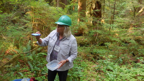 Thumbnail for Oregon Season Tracker Retreat