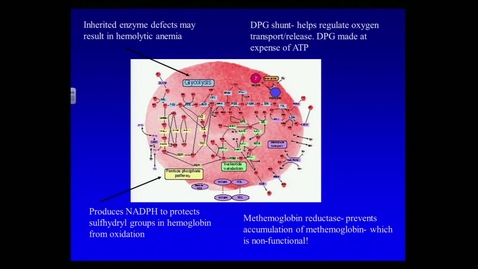 Thumbnail for VMB 763 Clin Path Lecture 2