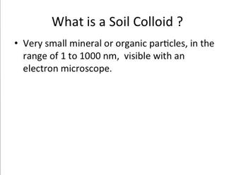 What on sale is colloid