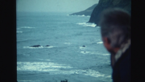 Thumbnail for &quot;Mammals of the Sea,&quot; 1980