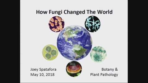 Thumbnail for 2018 Distinguished Professor Lecture - Joey Spatafora