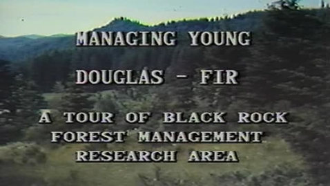 Thumbnail for Managing Young Douglas-fir: A 1983 Tour of the Black Rock Forest Management Research Area with Dr. Alan Berg