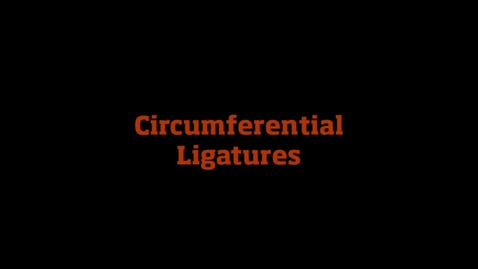 Thumbnail for Circumferential Ligature