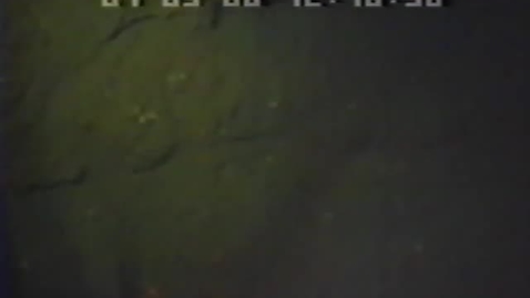 Thumbnail for Heceta Bank submersible dive footage and KMTR News reports on offshore natural resources extraction, 1988
