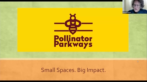 Thumbnail for Creating pollinator habitats in small garden spaces - Washington County Master Gardener Association's 'Speaker Series' March 2022
