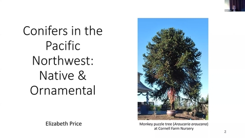 Thumbnail for entry **Conifers in the Pacific Northwest* - Washington County Master Gardener Association's Speaker Series