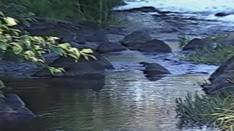 Thumbnail for &quot;Fifteen Mile Creek Habitat Improvement Project,&quot; 1991
