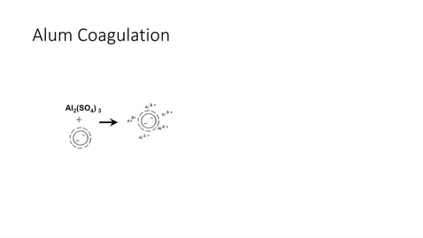 Thumbnail for entry Alum Coagulation