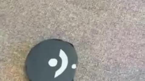 Thumbnail for ROOMBA-BOT Example Video