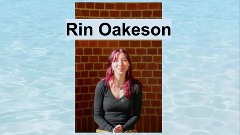 Thumbnail for BA282 Final Project Story