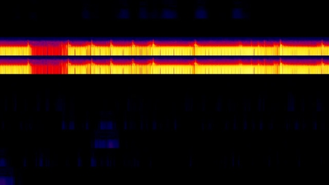 Thumbnail for stemees_scroll_zoomeC