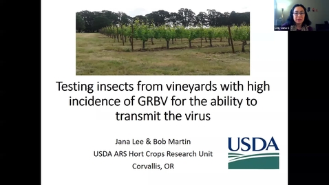 Thumbnail for Grape Red Blotch Disease Webinar - Dr. Jana Lee with Expert Panel