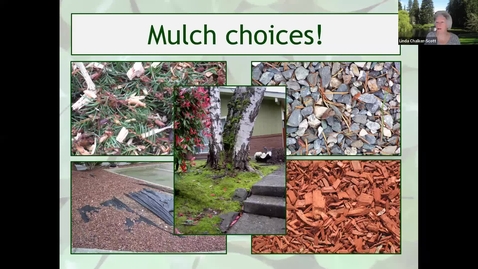 Thumbnail for **Mulch and Mycorrhizae* - Mult. Co. Master Gardener Assoc. Speaker Series - March 2023