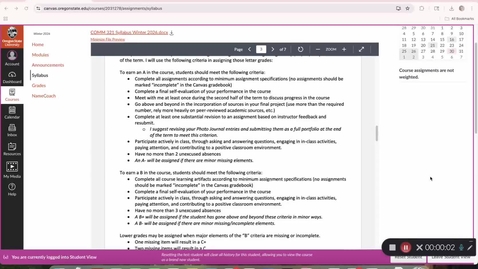 Thumbnail for Grading criteria check-in
