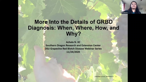 Thumbnail for entry Grape Red Blotch Disease Webinar - Dr. Achala KC