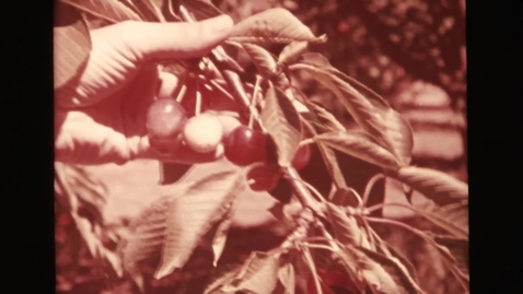 Thumbnail for Television Public Service Announcement footage, circa 1972