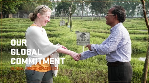Thumbnail for International Education Week 2020
