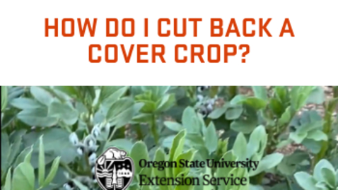 Thumbnail for entry How do I cut back a cover crop?