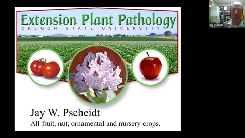 Thumbnail for **Digital plant problem diagnosis* - Wash. Co. Master Gardener Association Speaker Series - April 2023