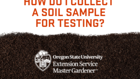 Thumbnail for entry How do I collect a soil sample for testing?