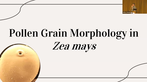 Thumbnail for entry Harrison Bell - &quot;Pollen Grain Morphology in Zea mays&quot;