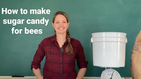 Thumbnail for How to make sugar candy for bees