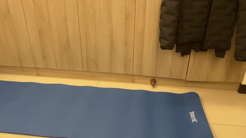 Thumbnail for IMG_5422_720p